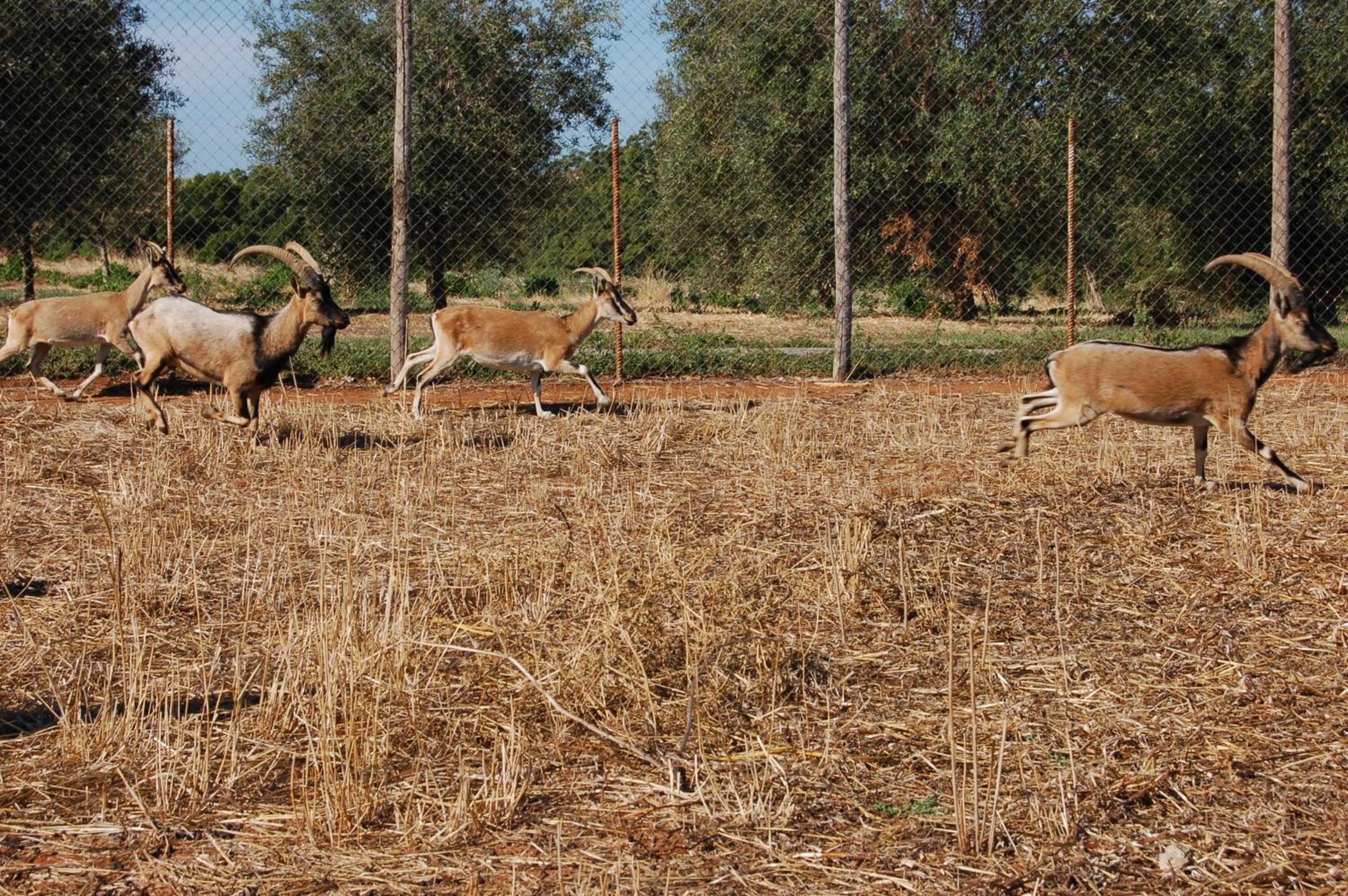 Photo 46