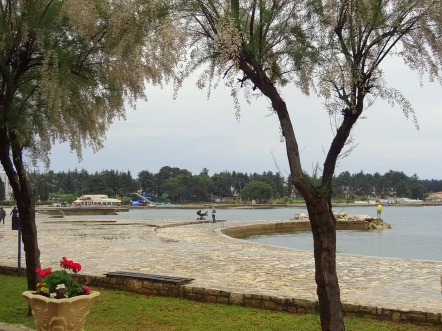 Photo 92