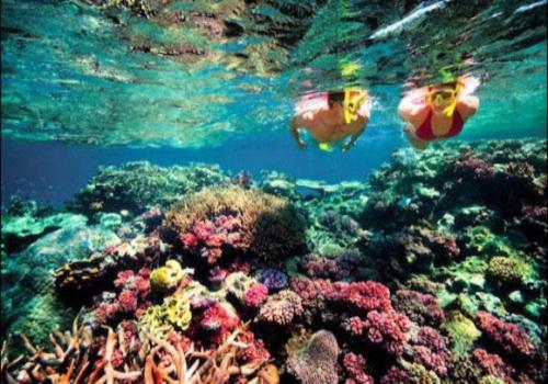 Bondi Backpackers Nhatrang