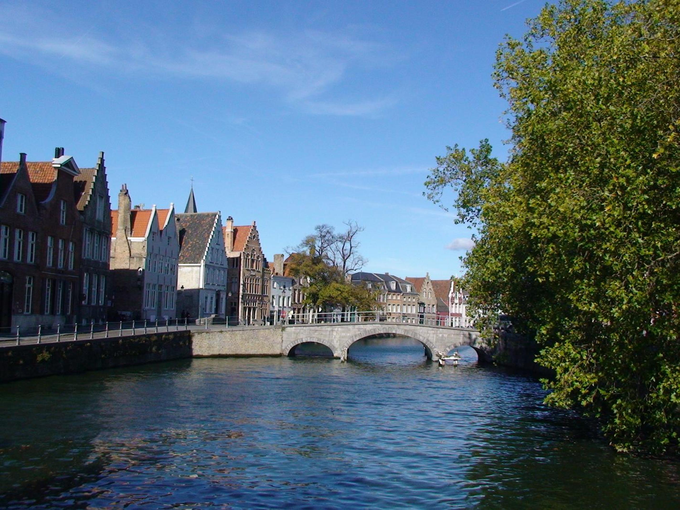 Photo 42