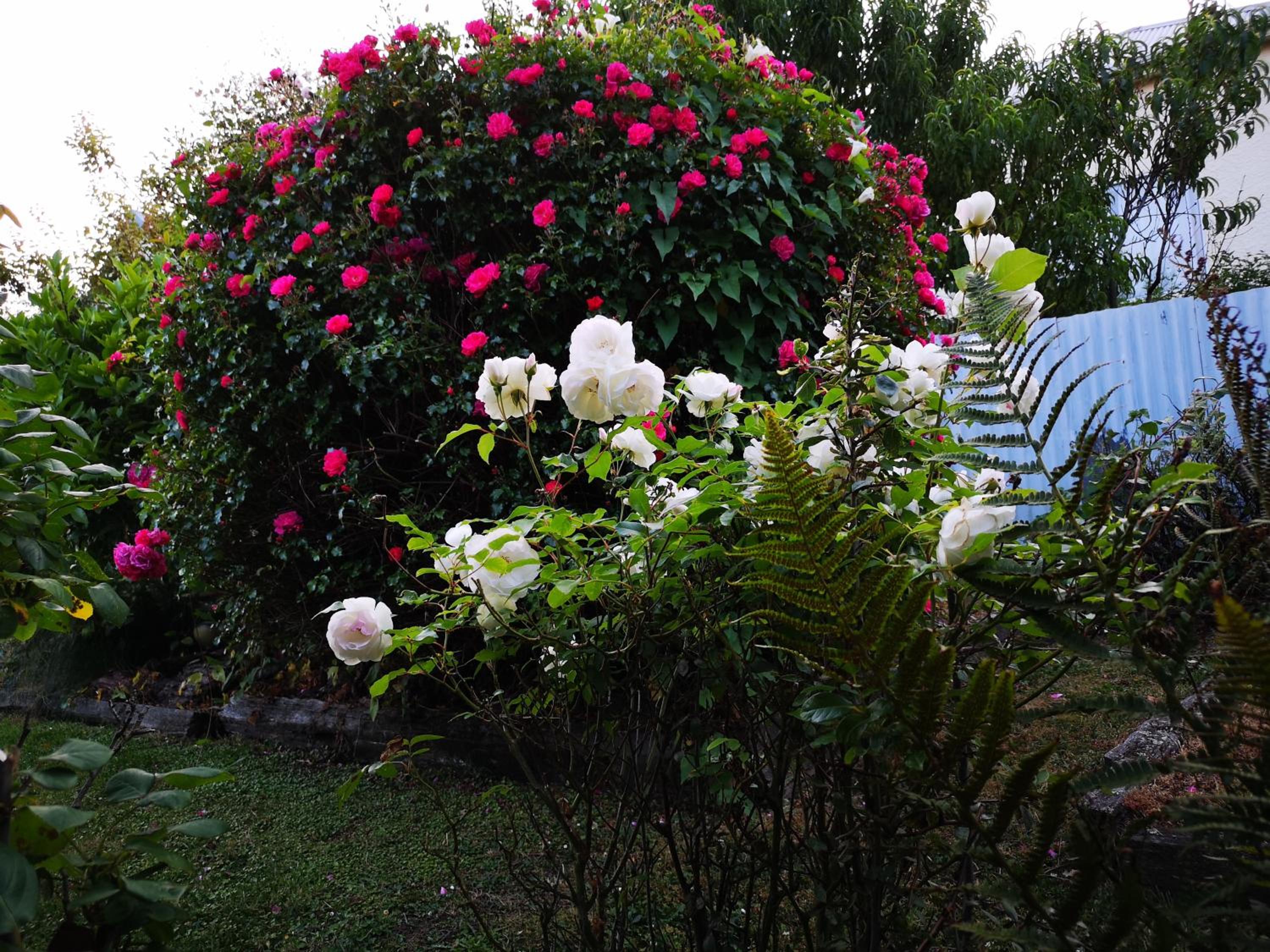 Photo 43