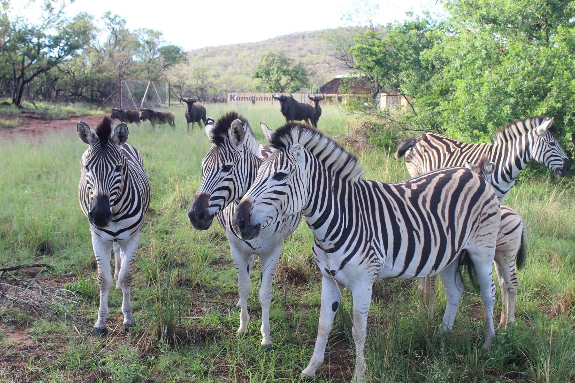 La Barune Game Lodge view 4