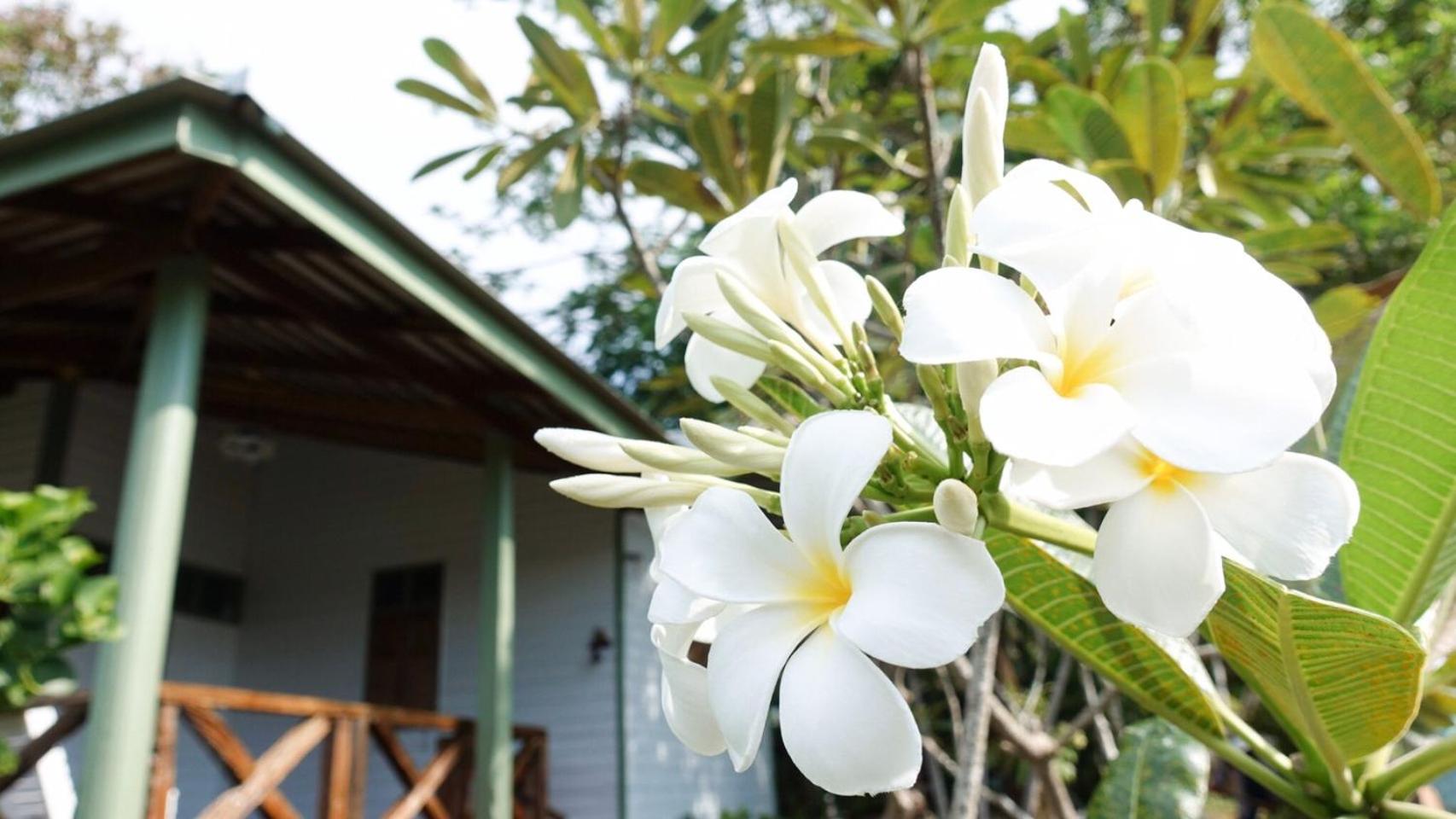 Baan Imm Sook Resort