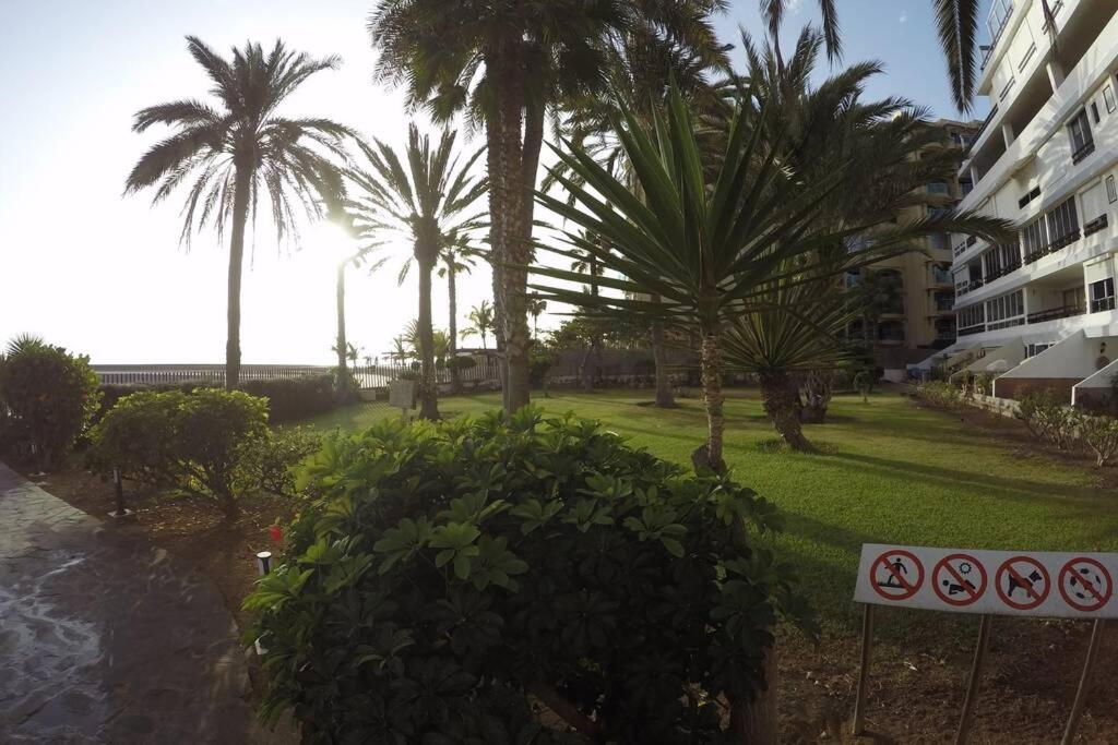 Studio Apartment La Lajilla located at beachfront view 3
