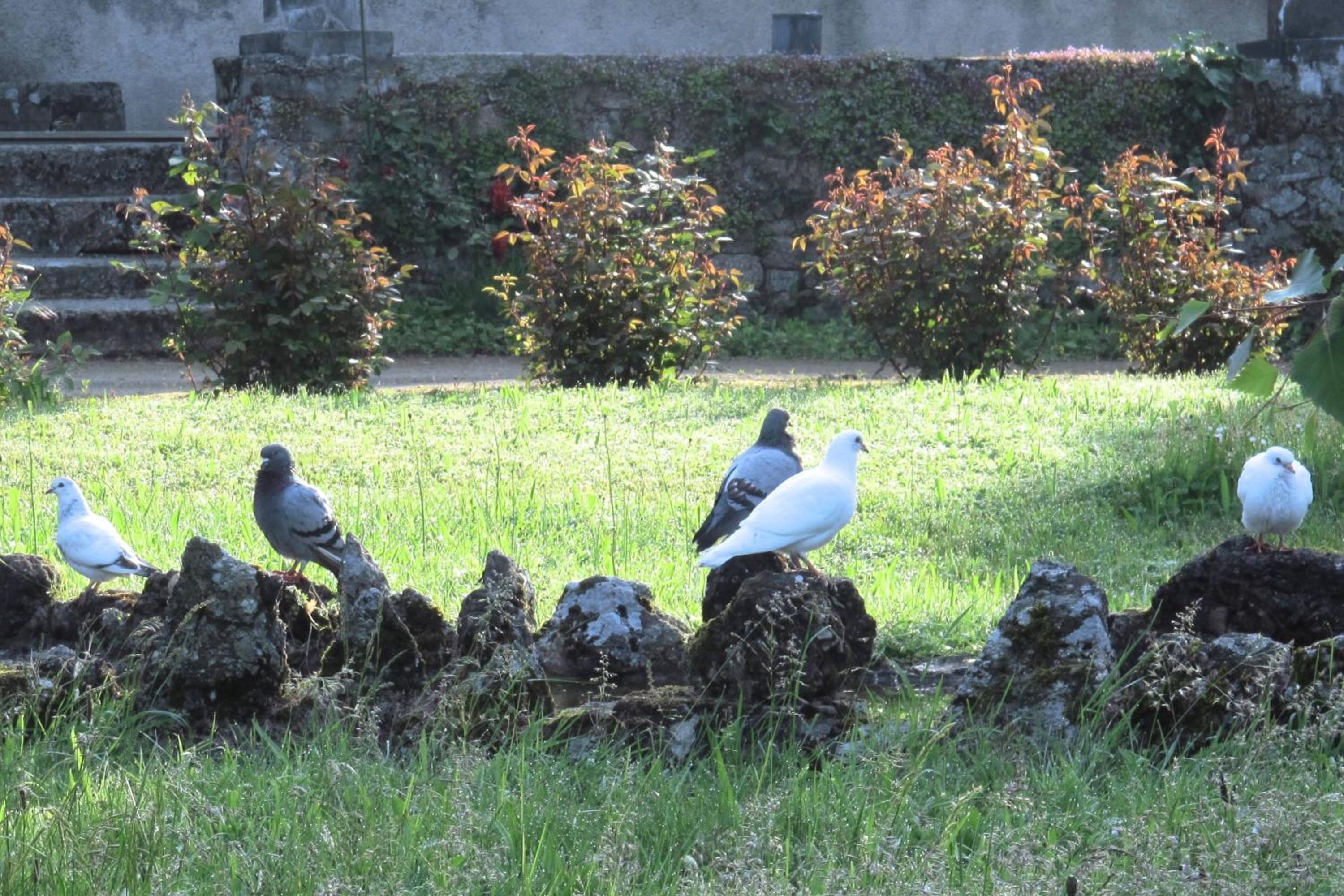 Photo 16