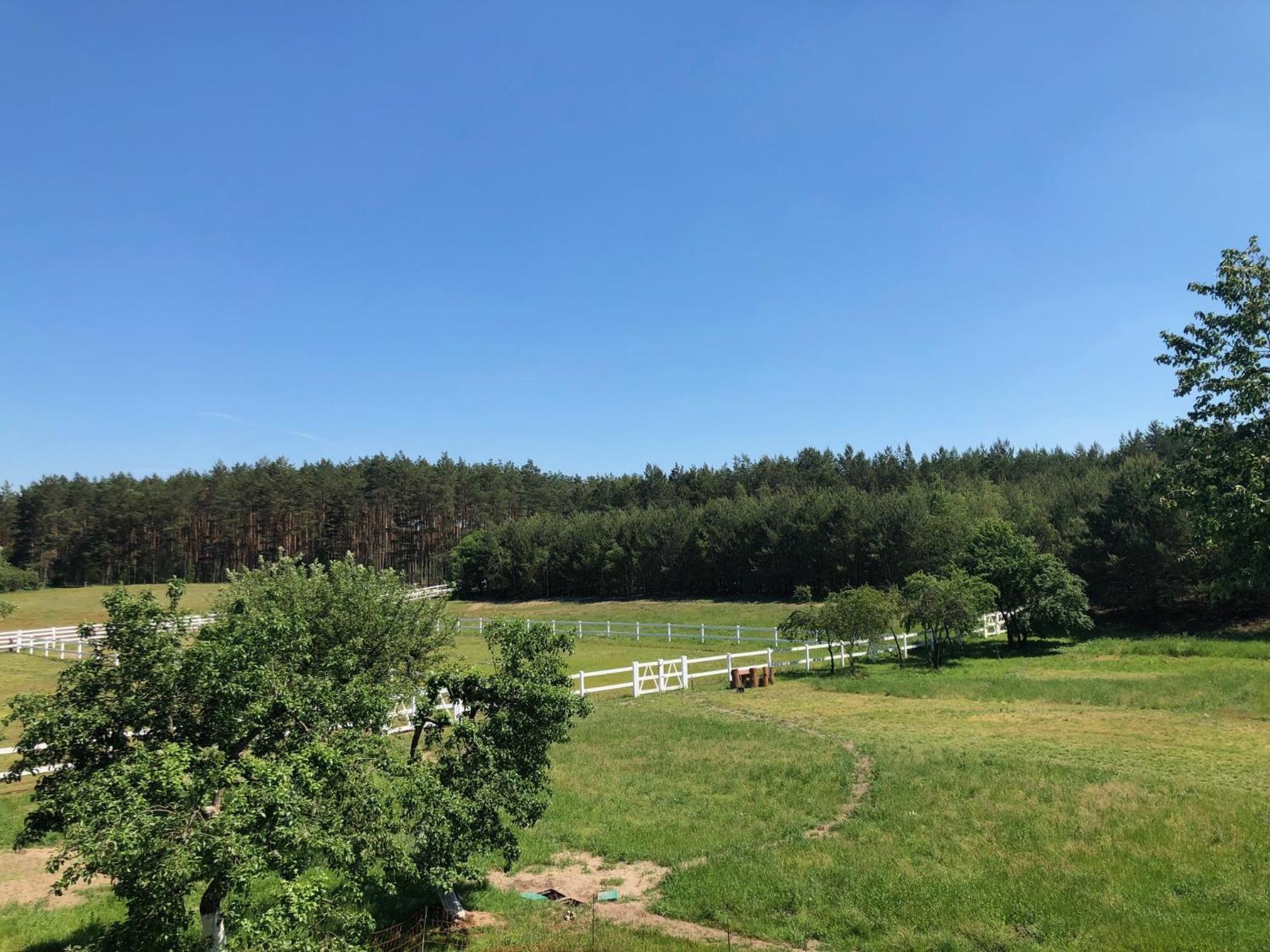 Gutshof Dragefeld