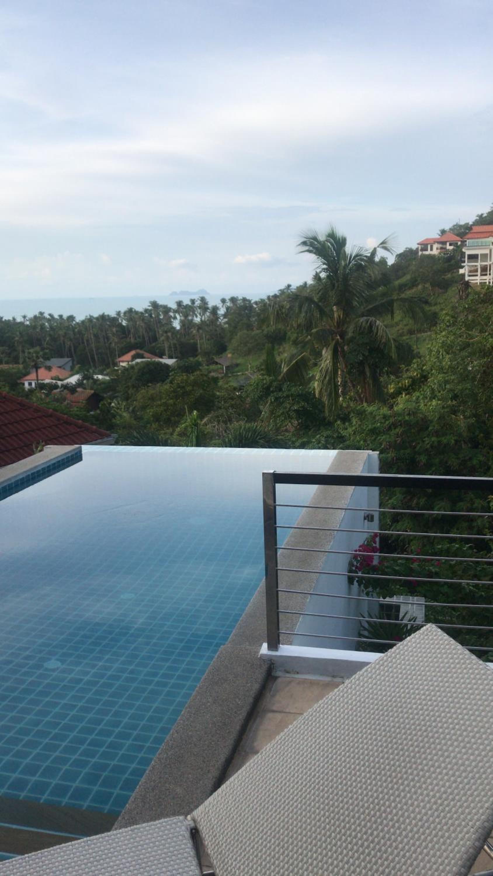 Wild Palms view 4