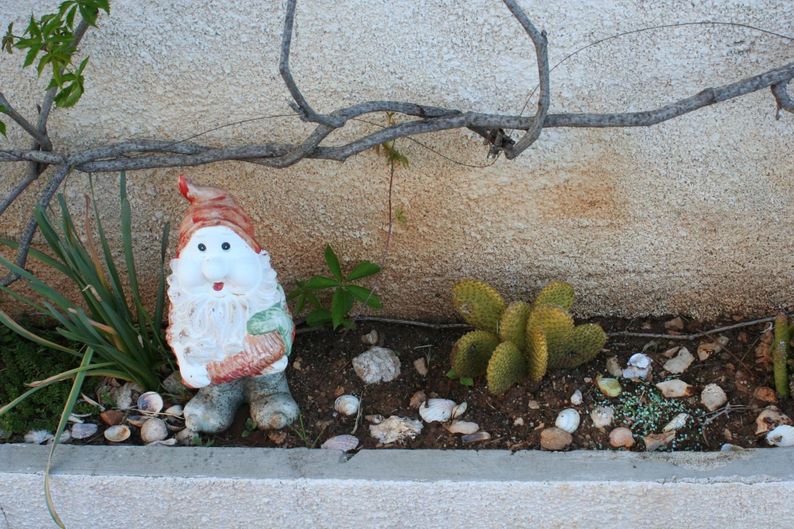 Photo 38