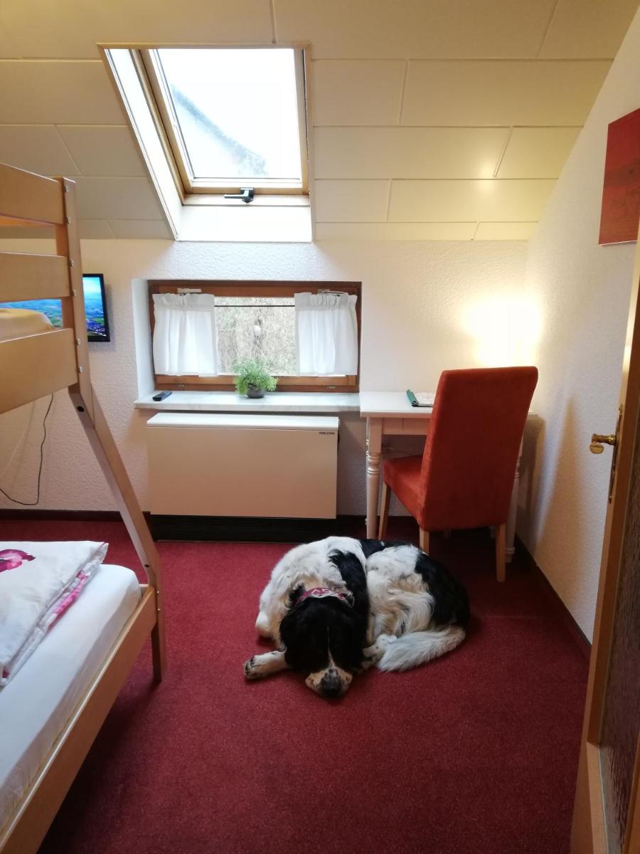 Urlaub mit Hund - Ferienhof Höhensonne view 5