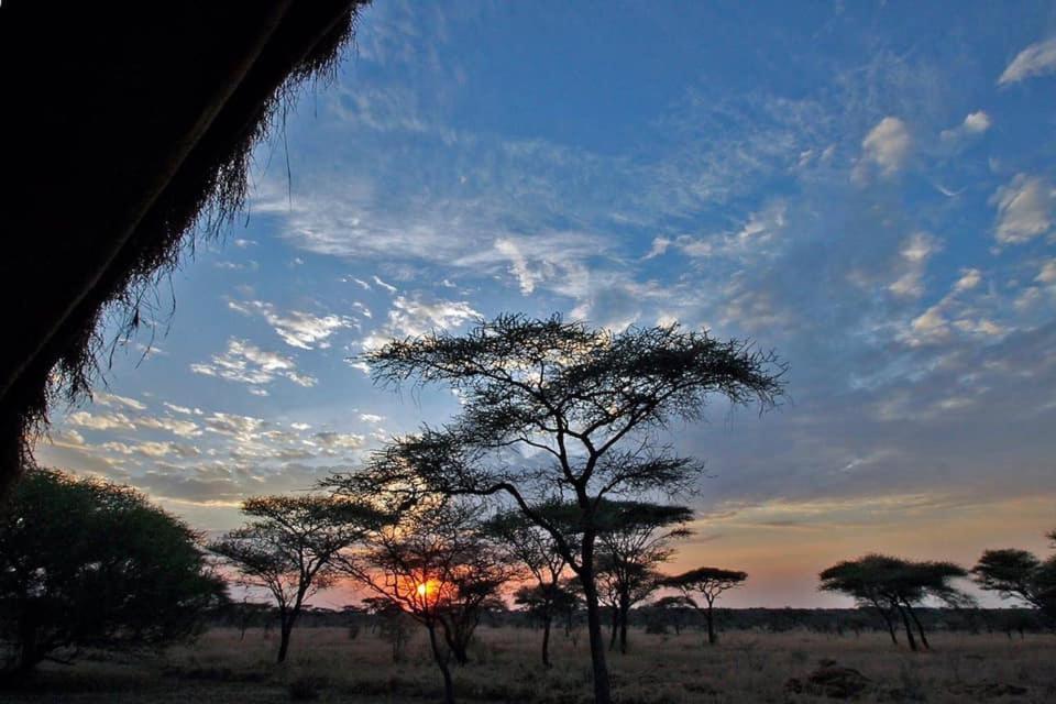 Rafiki Village