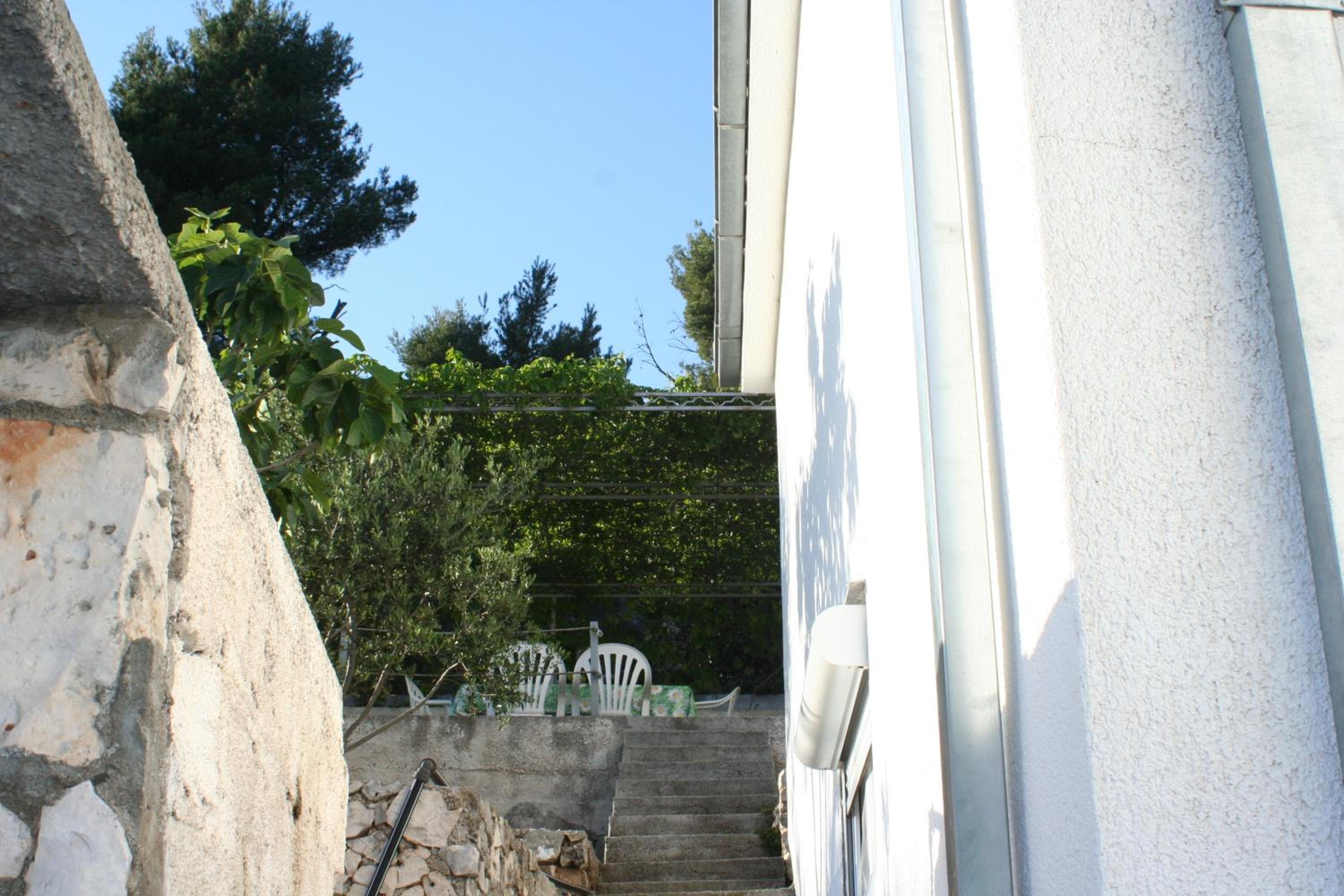 Photo 56