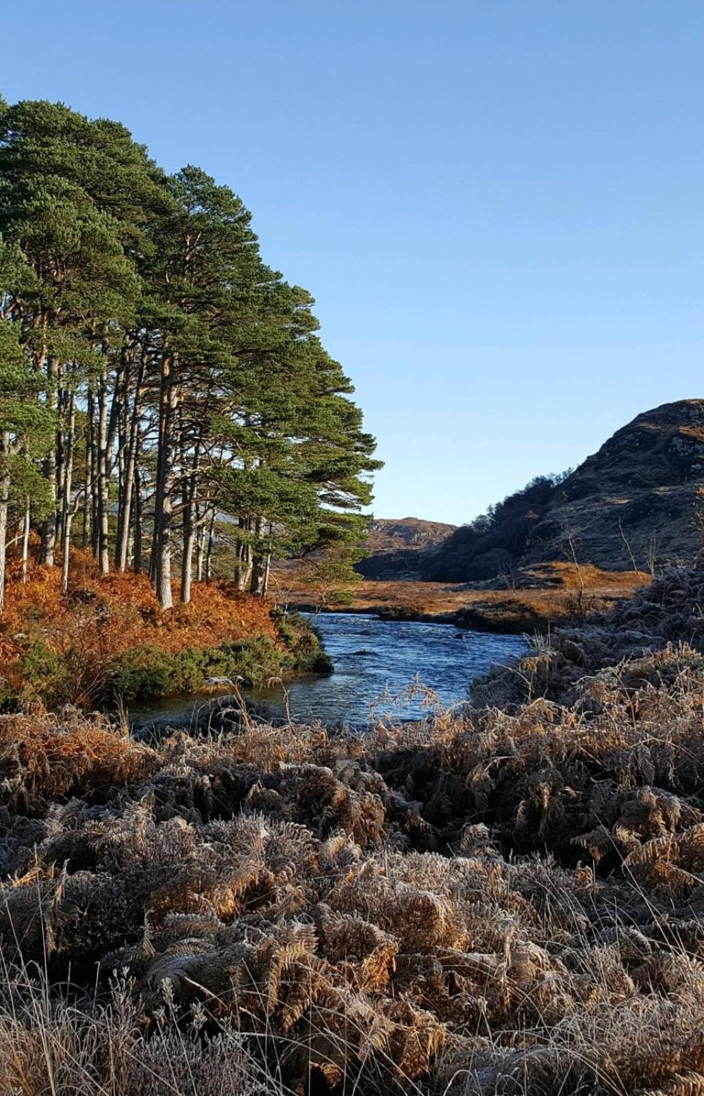 Cruachan Guest House