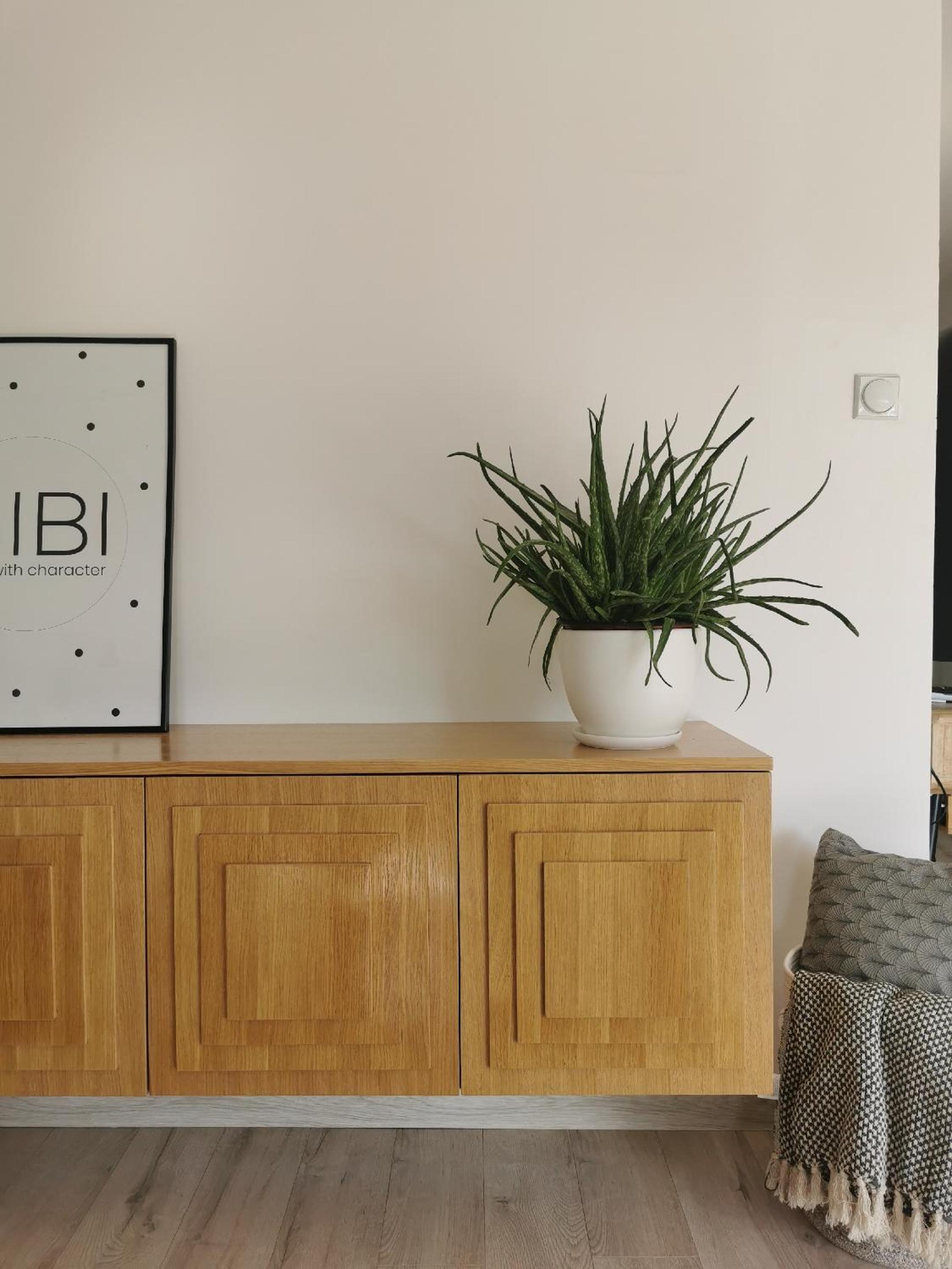Apartman Dositej