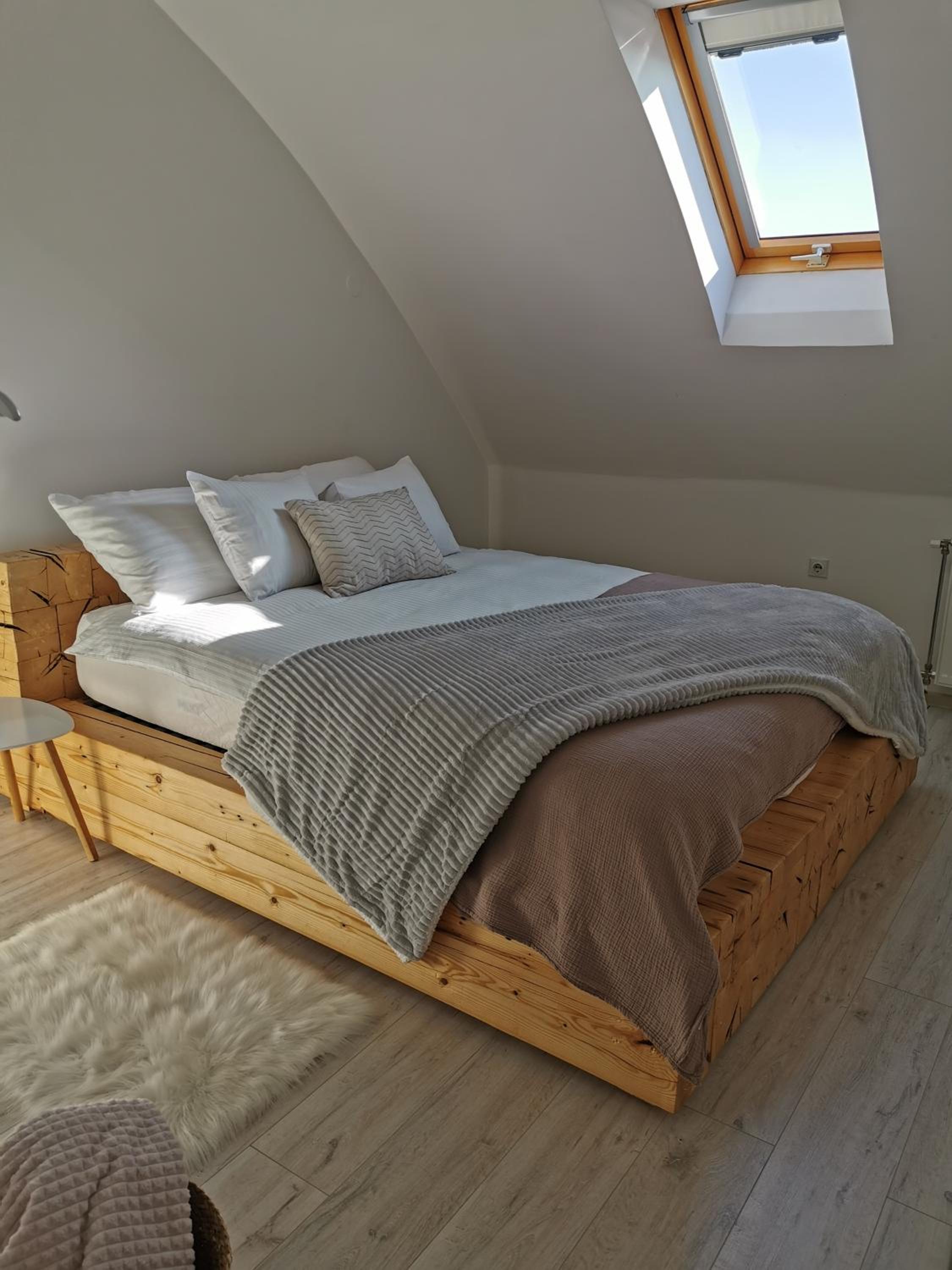 Apartman Dositej