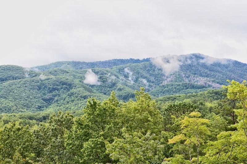 Honeymoon Cabin with Great Mountain View and Hot Tub view 4