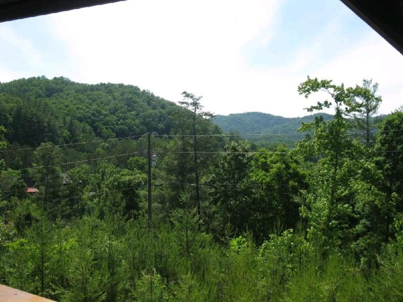 Mountain Breeze view 2