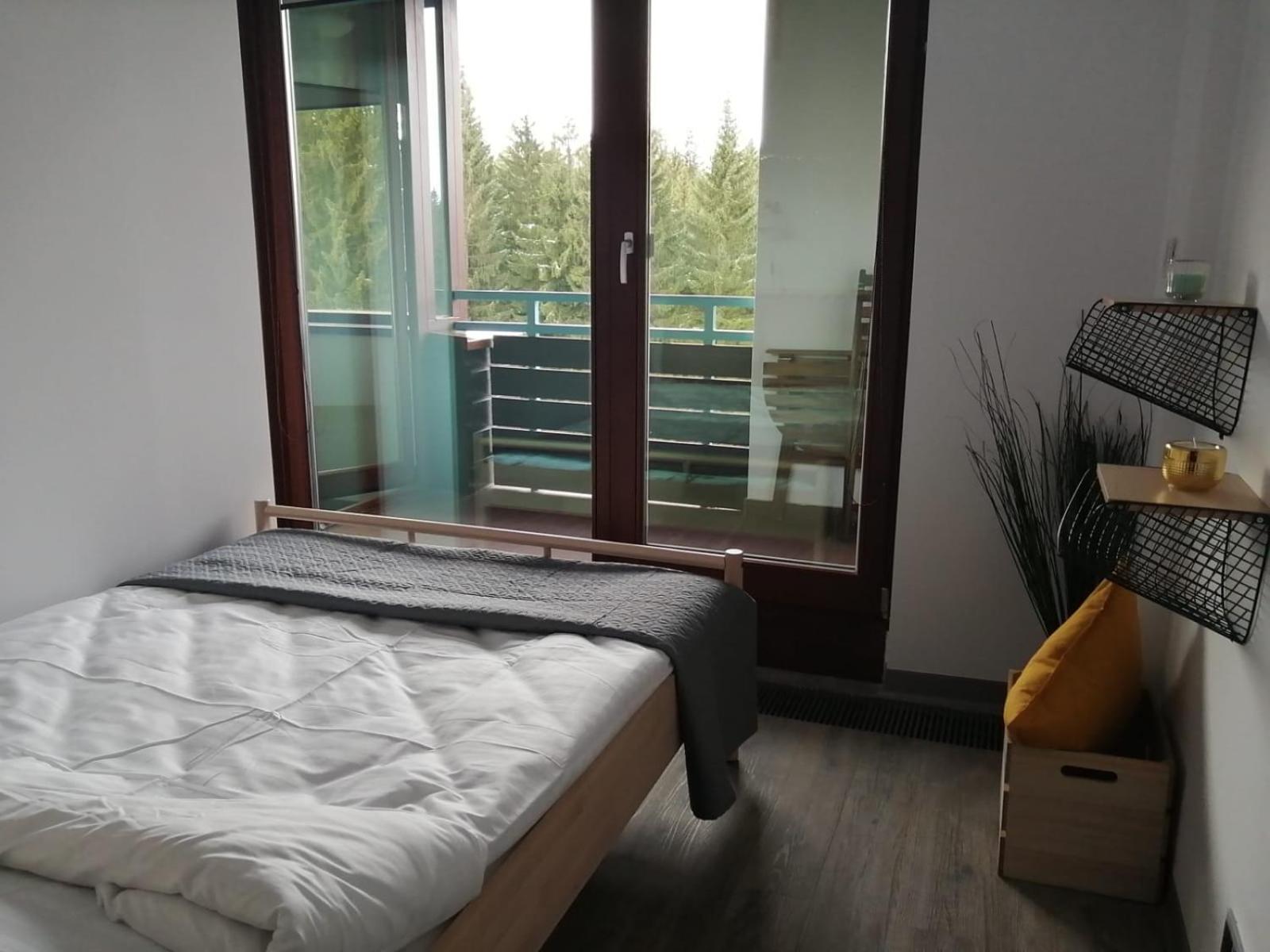 Forest view Apartment B12 in Silver Mountain Resort view 2