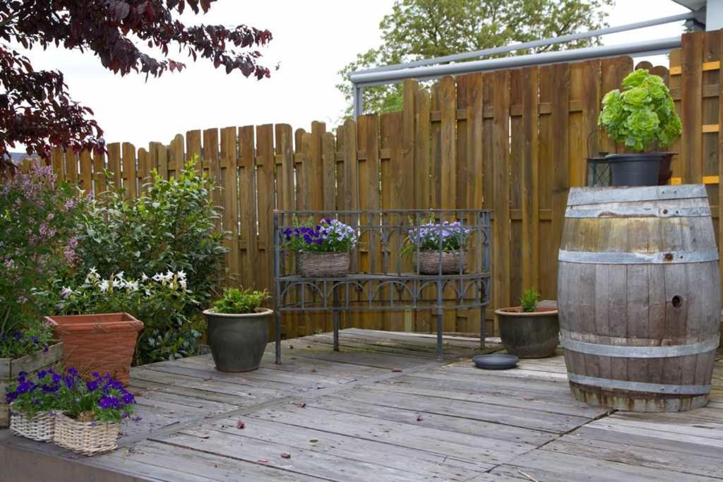 Saarlouis, Ortsteil Beaumarais "Anna's Cottage"BedBreakfast "TravellerAwards 2022" - Property Image 9