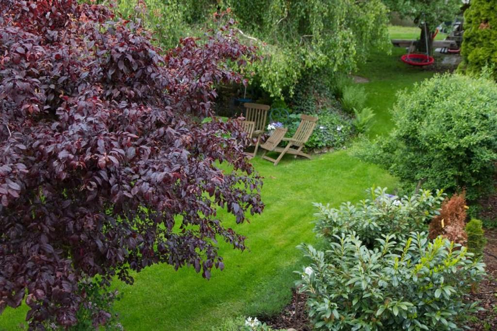 Saarlouis, Ortsteil Beaumarais "Anna's Cottage"BedBreakfast "TravellerAwards 2022" - Property Image 10