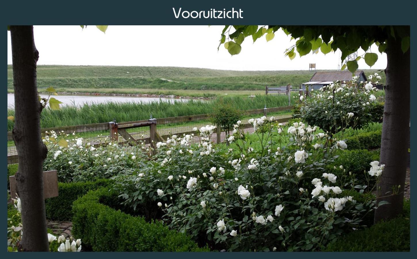 Vakantiewoning Deltahof view 4