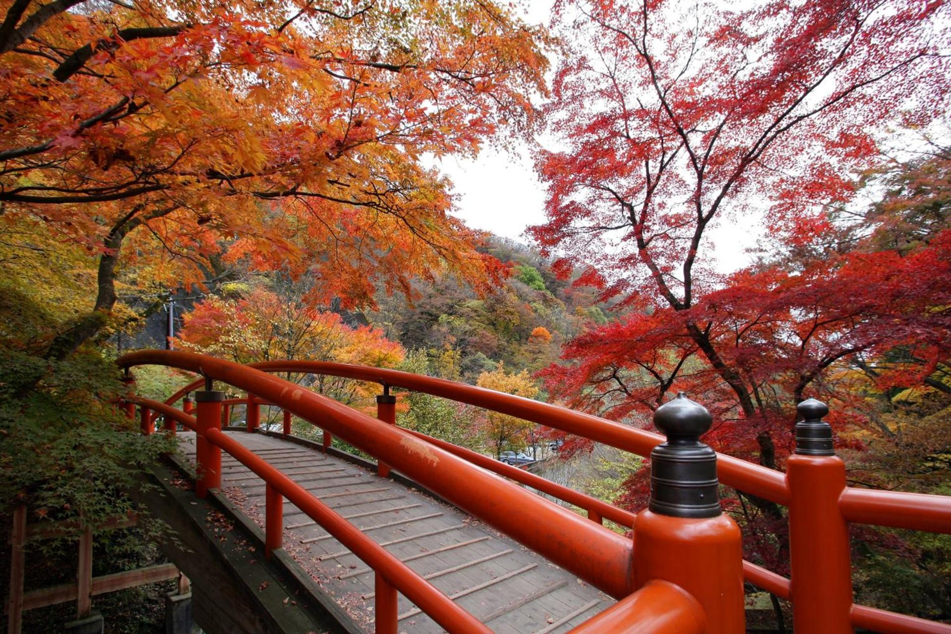 Hotel Ikaho Ginsui, Shibukawa - 23