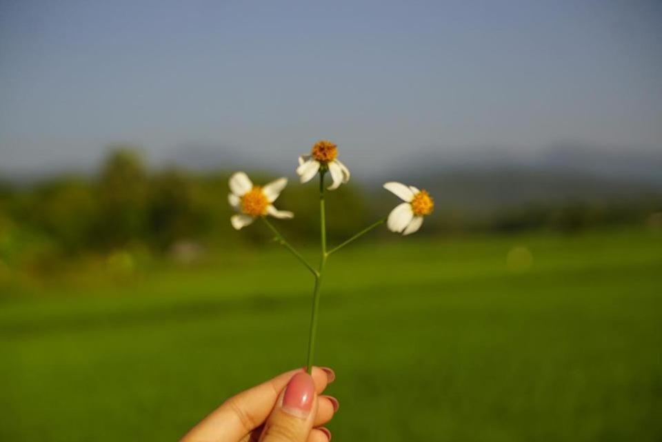 Photo 49
