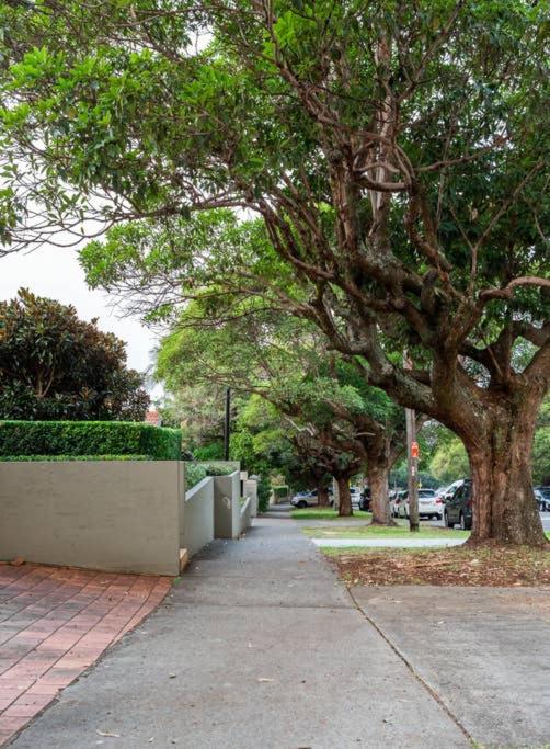 The Great Escape Bellevue Hill