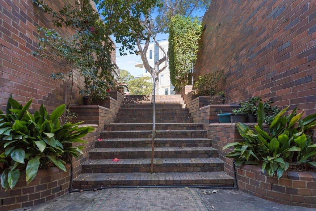 The Great Escape Bellevue Hill
