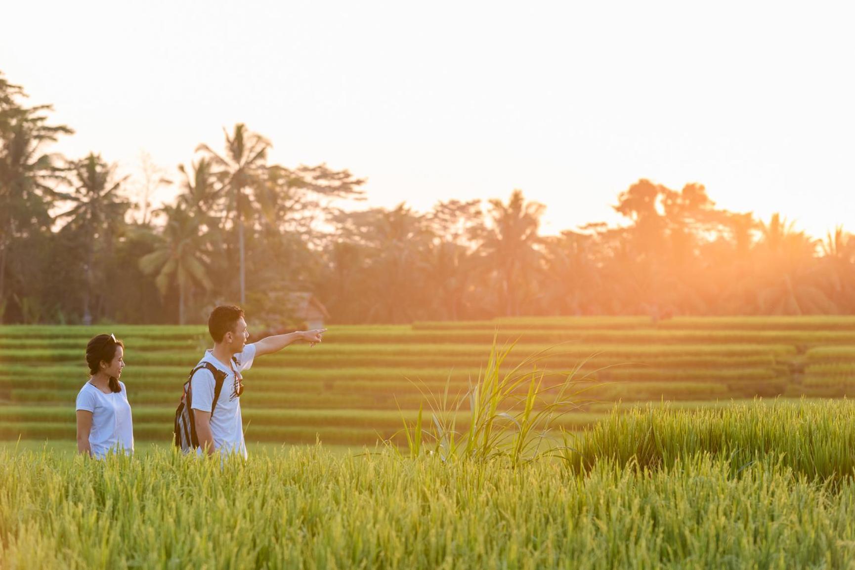 Cenik Villa Ubud