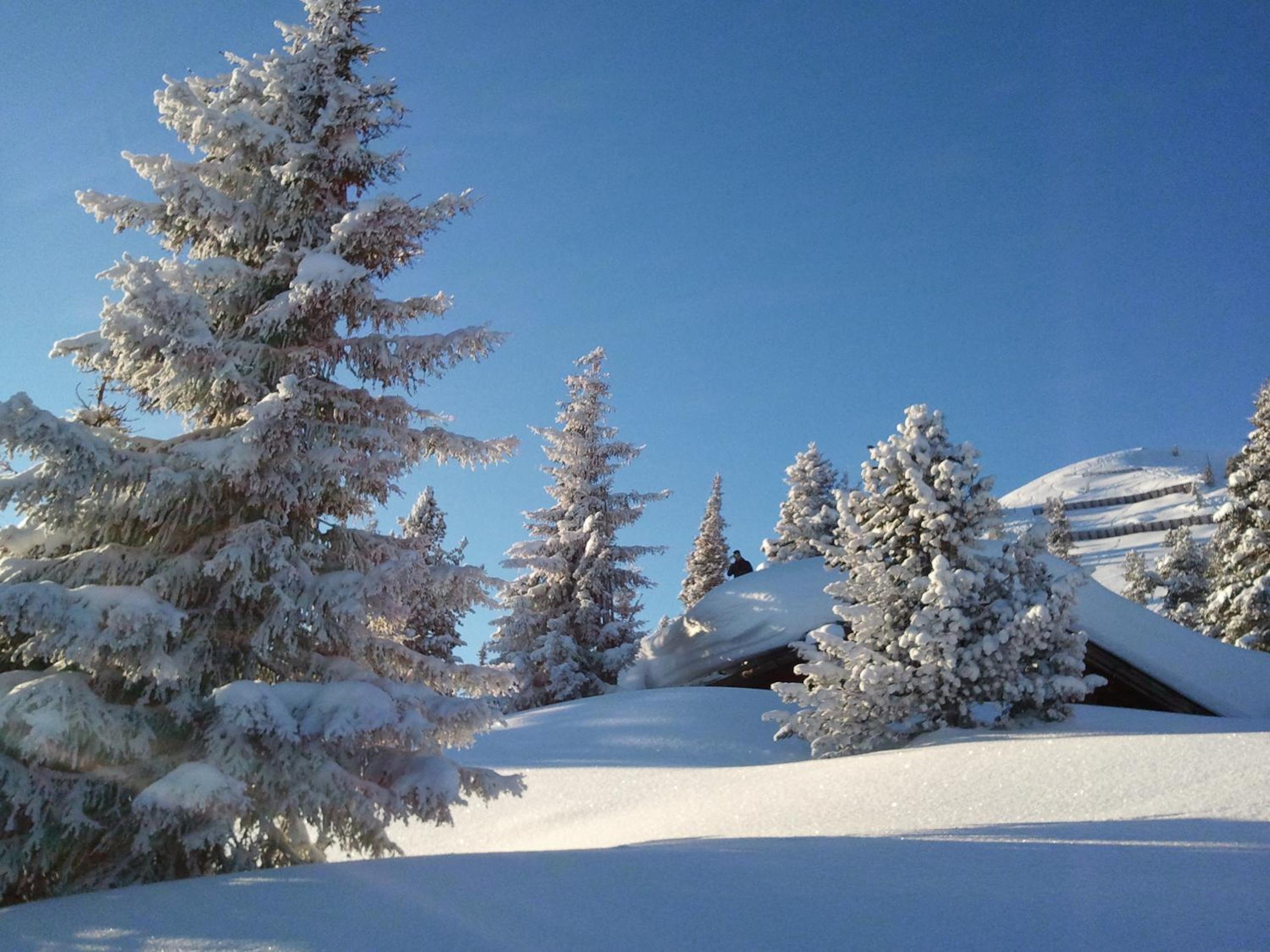 Villa Alpin