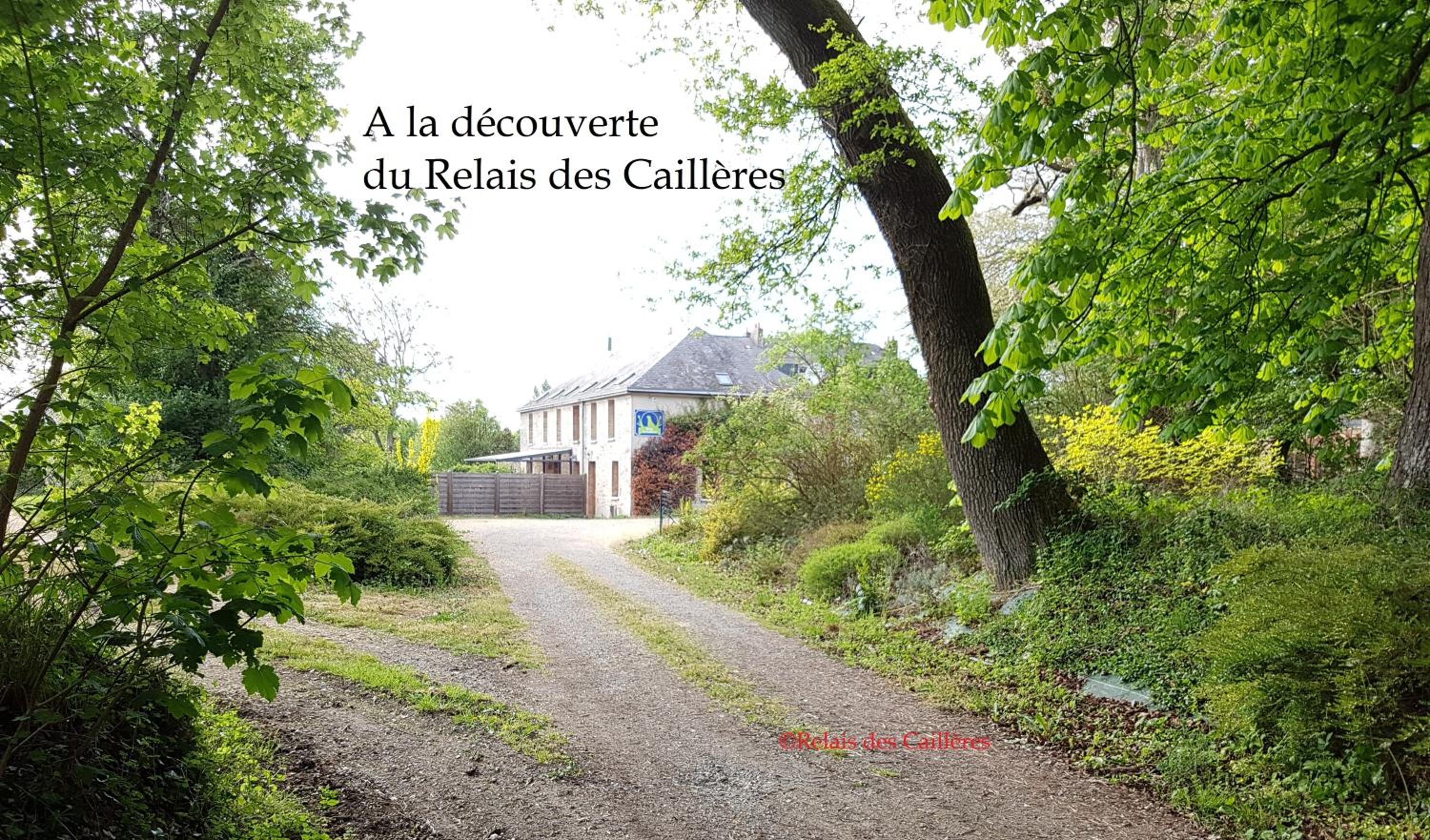 Logis Hôtel Relais Des Caillères