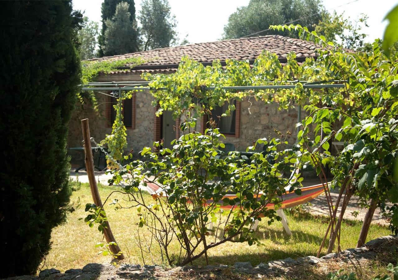 Pie' d'Ulivo