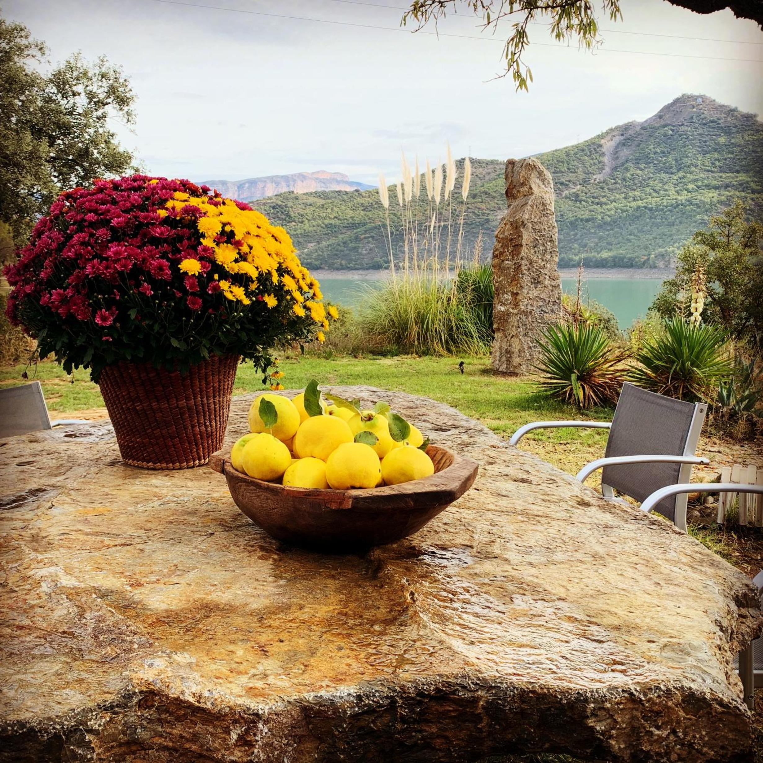 Can Lamat view 5