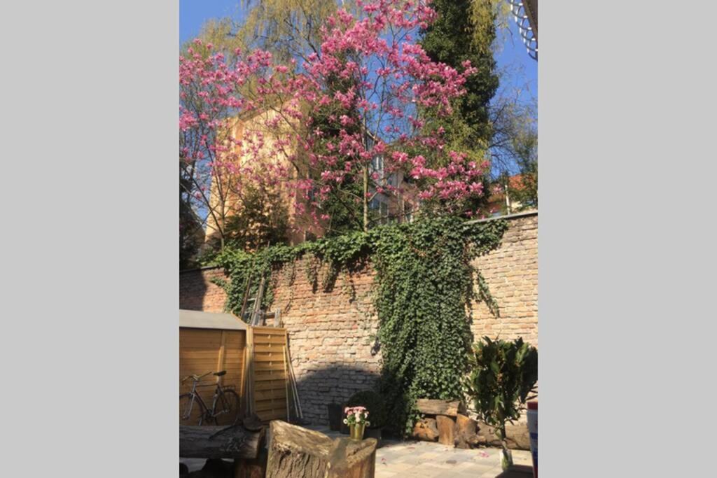 Beautiful Backyard Remise