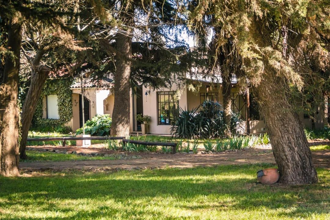 El Estanque