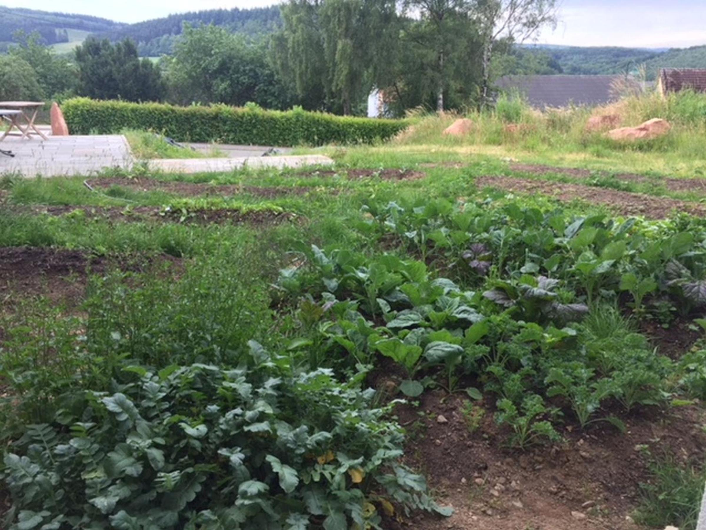 Photo 21