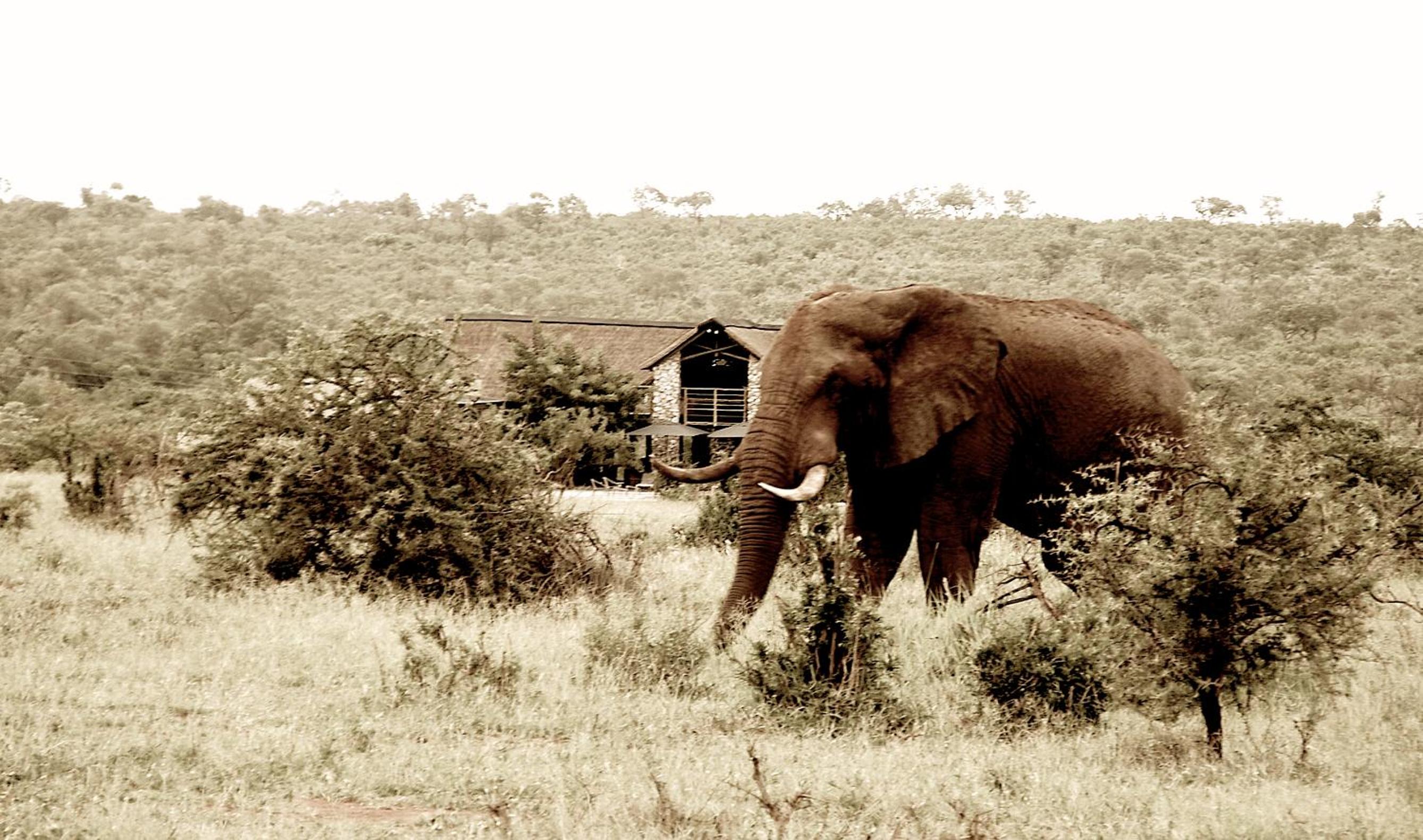 Kruger Sunset Lodge