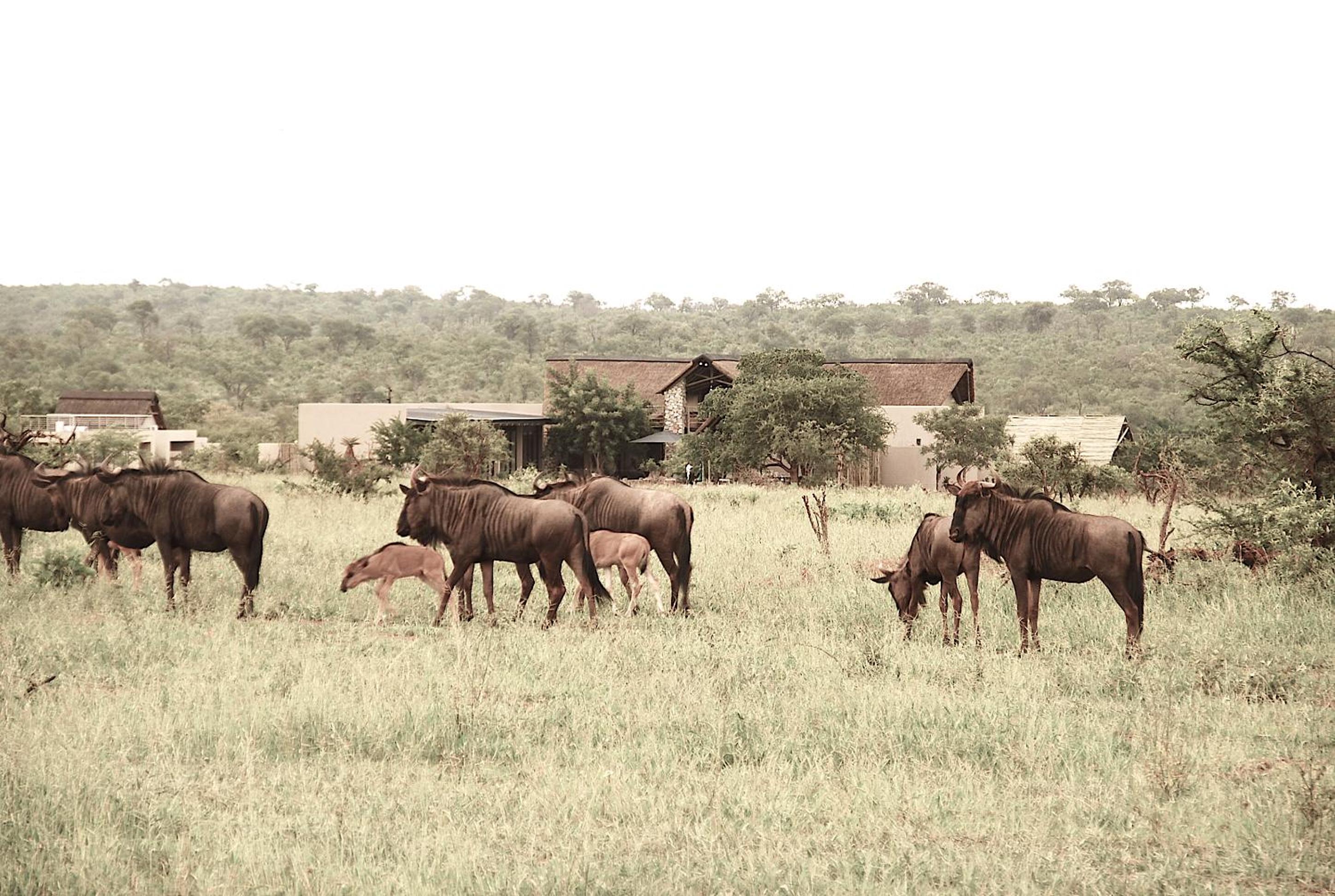 Kruger Sunset Lodge
