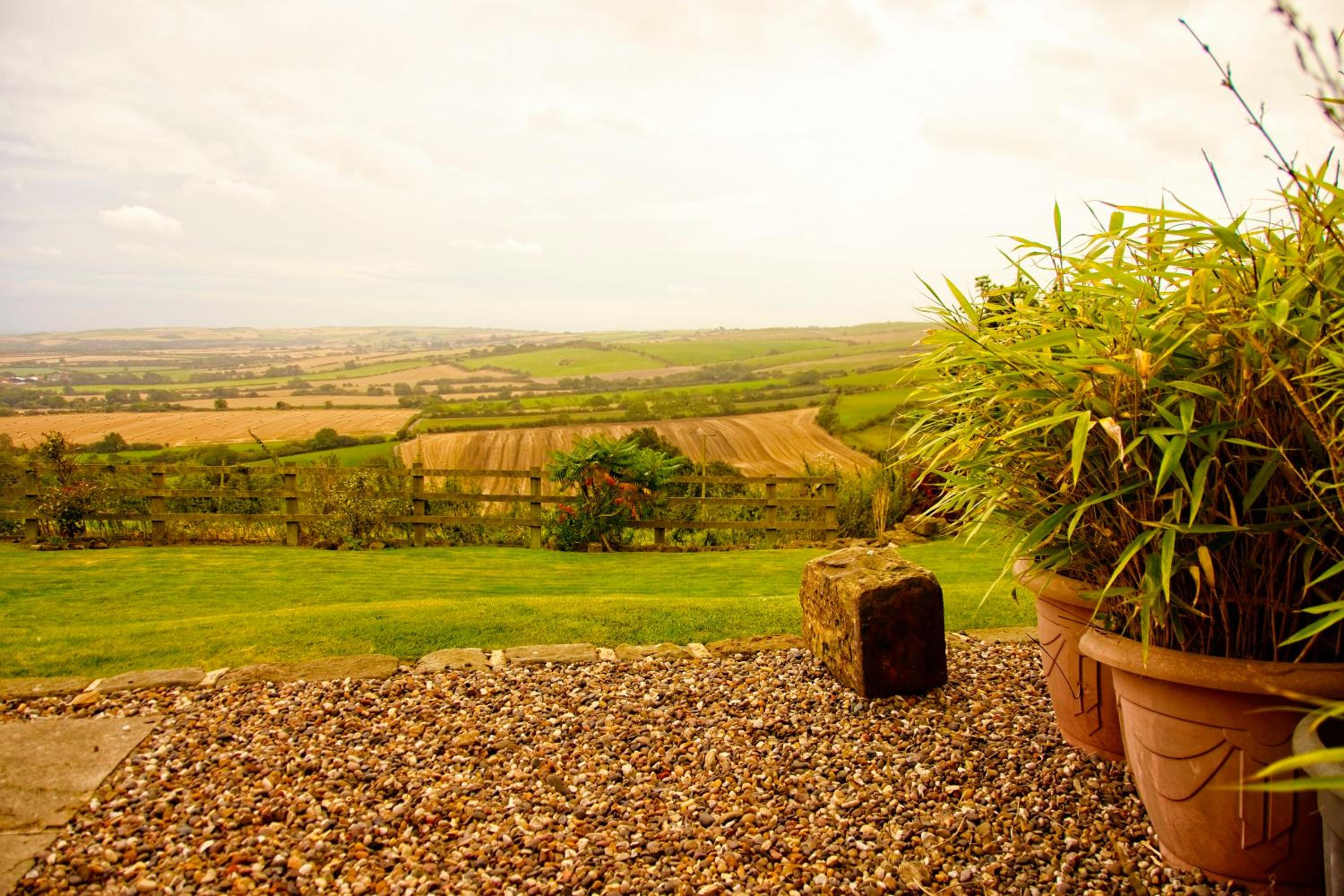 Spangle Cottage, Borrowby Farm Cottages view 4