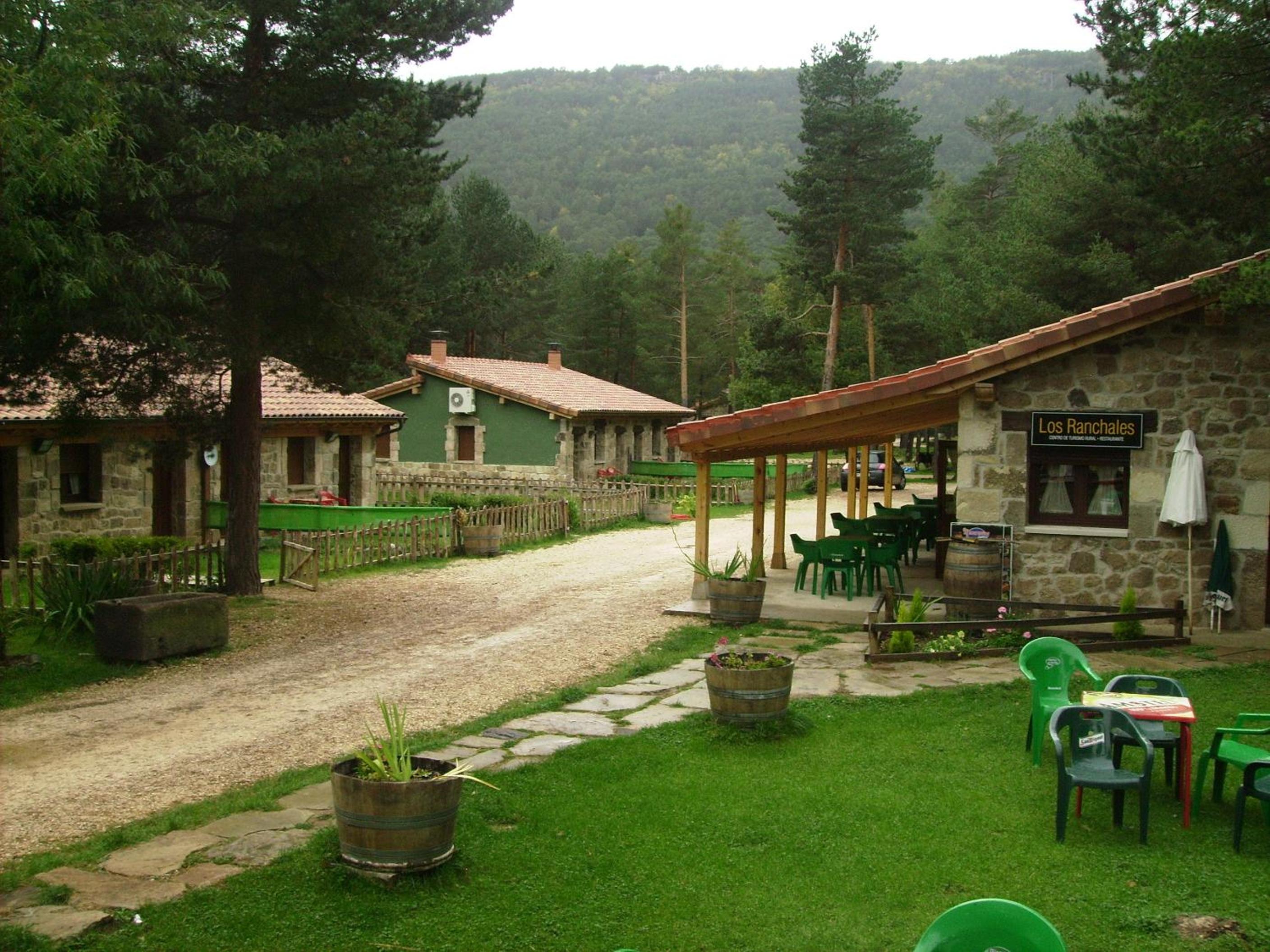 Photo 19
