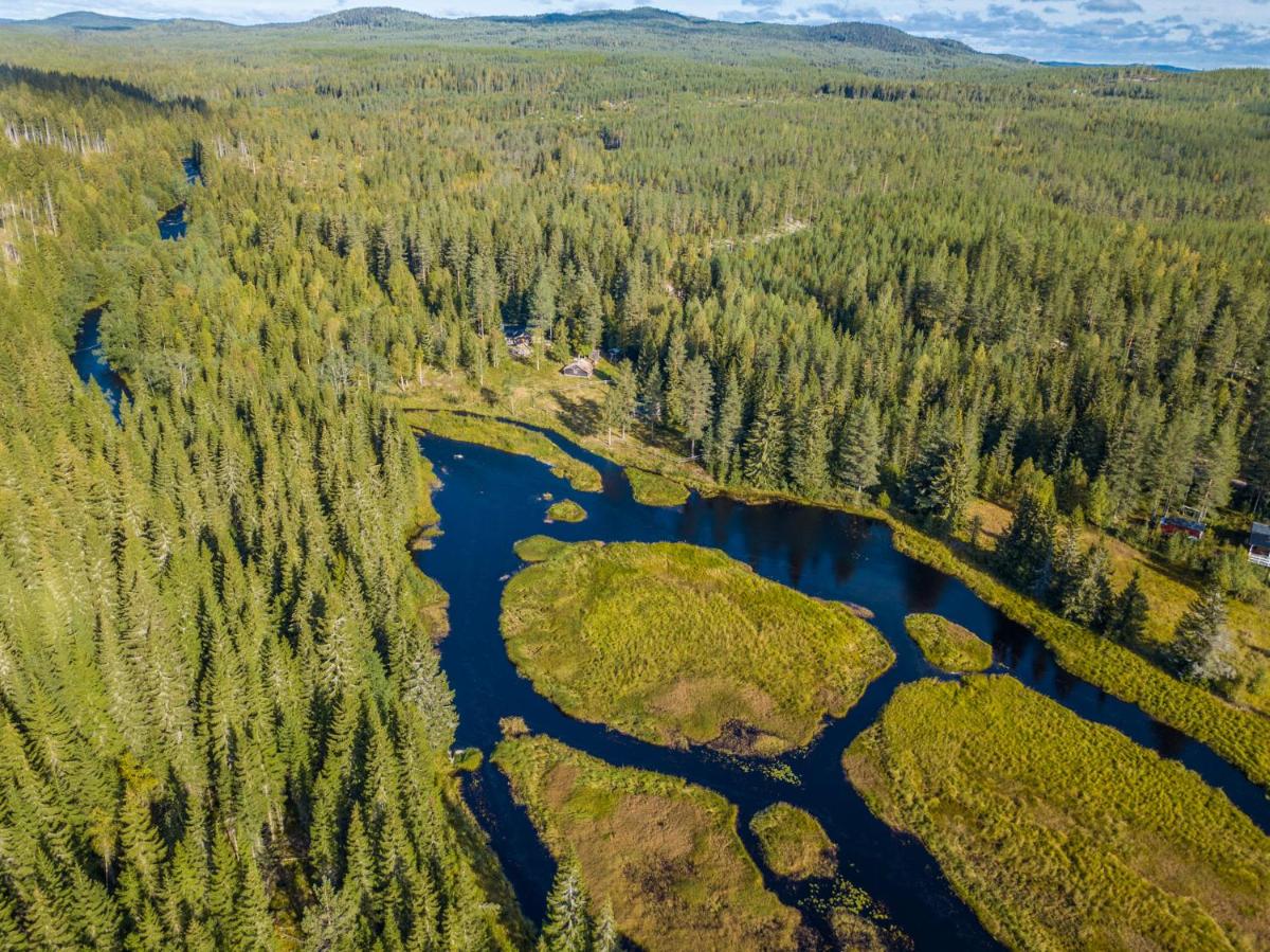 The Old Logging Camp view 4