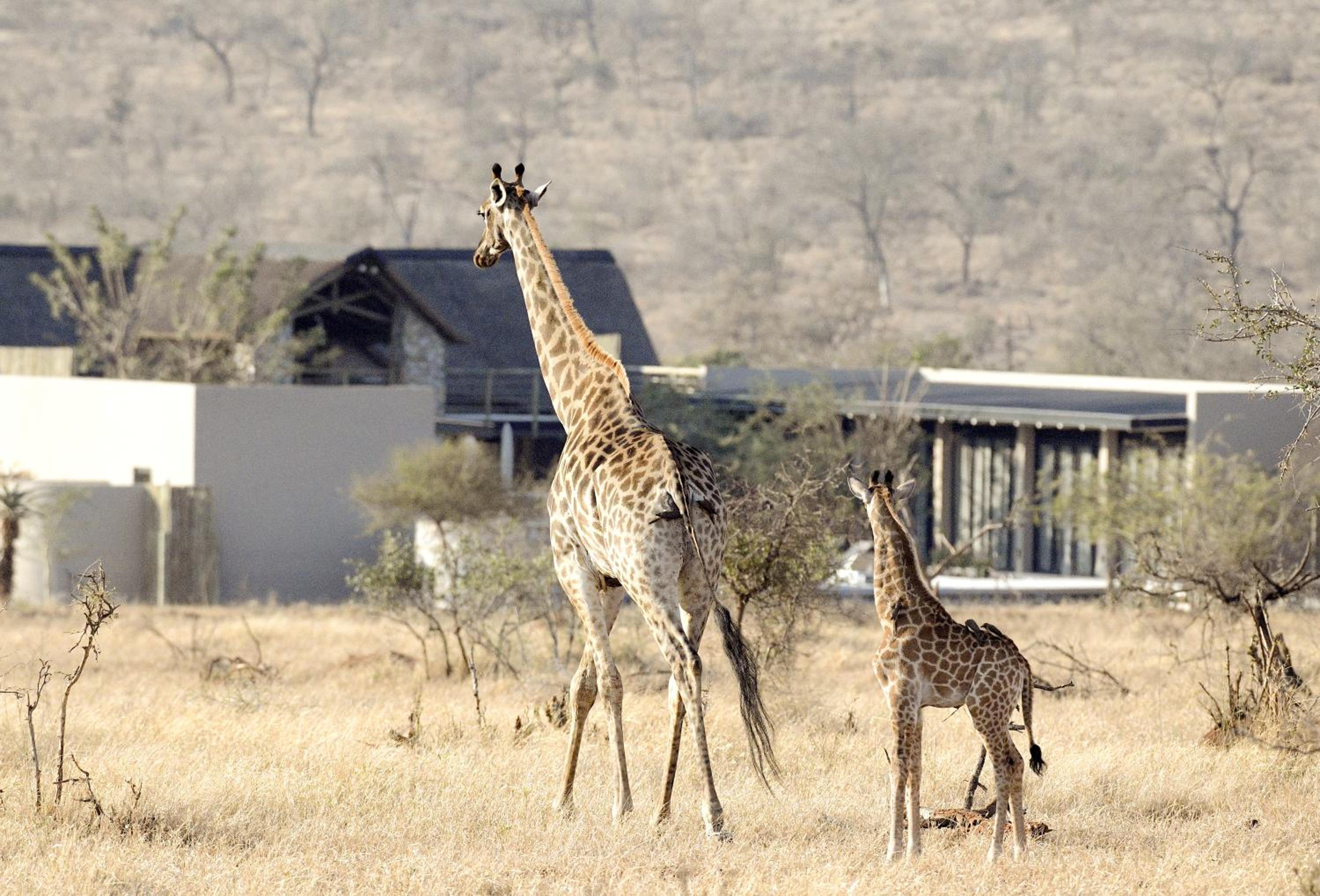 Kruger Sunset Lodge