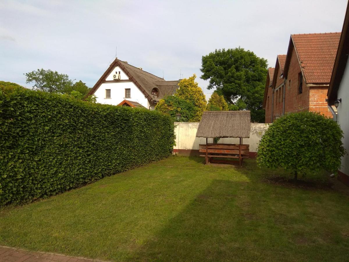 Photo 50
