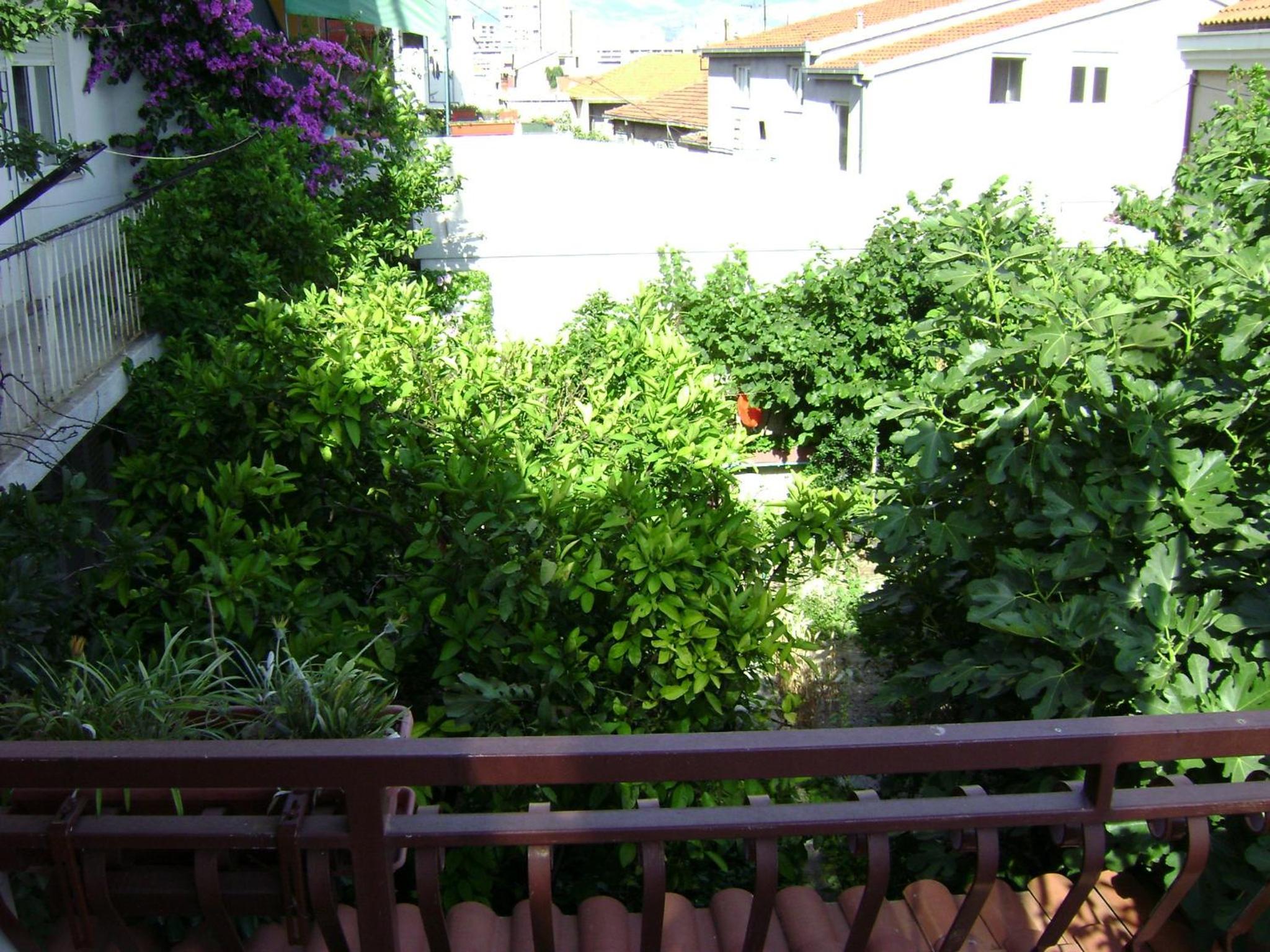 Photo 39