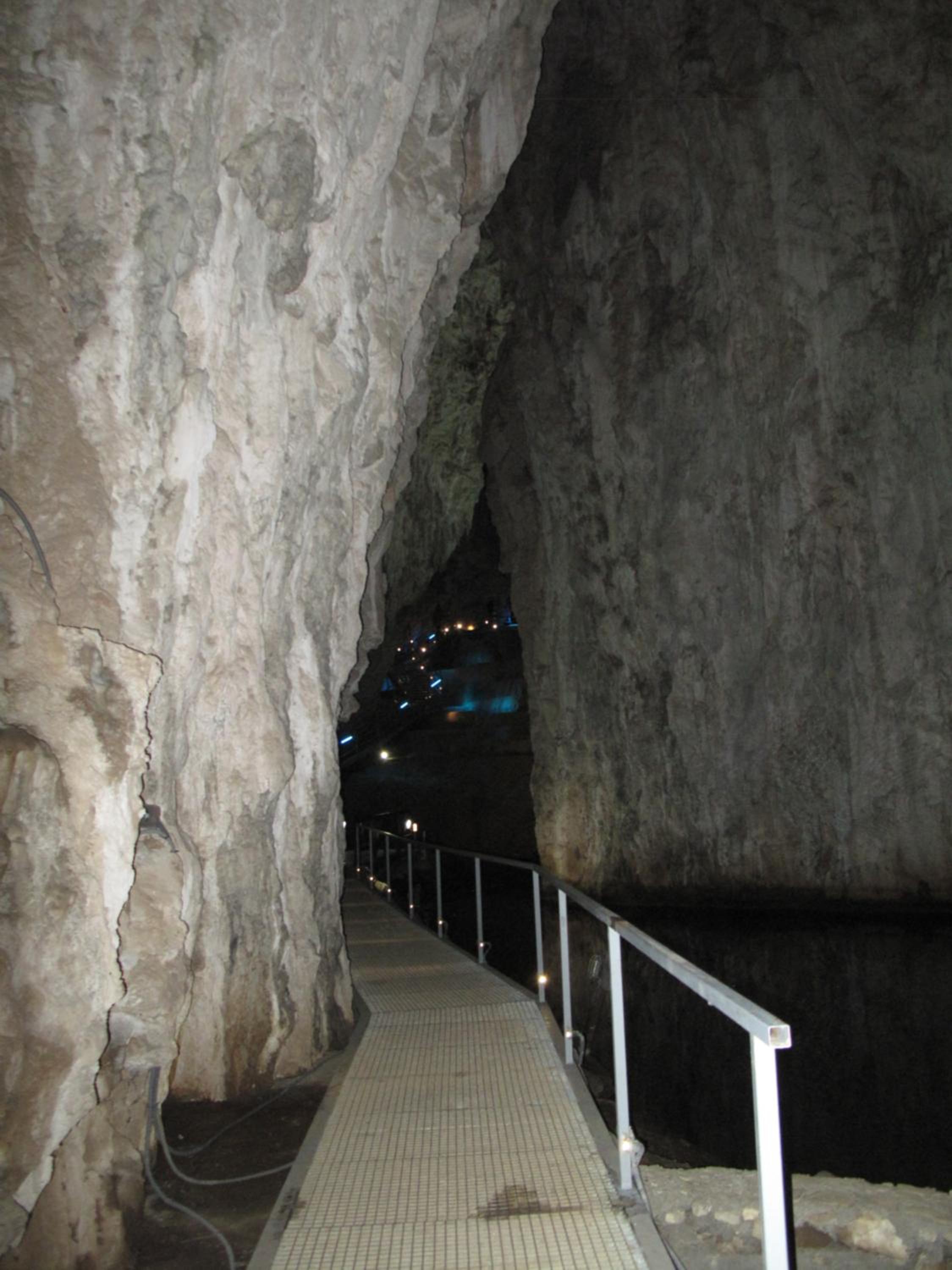 Photo 42