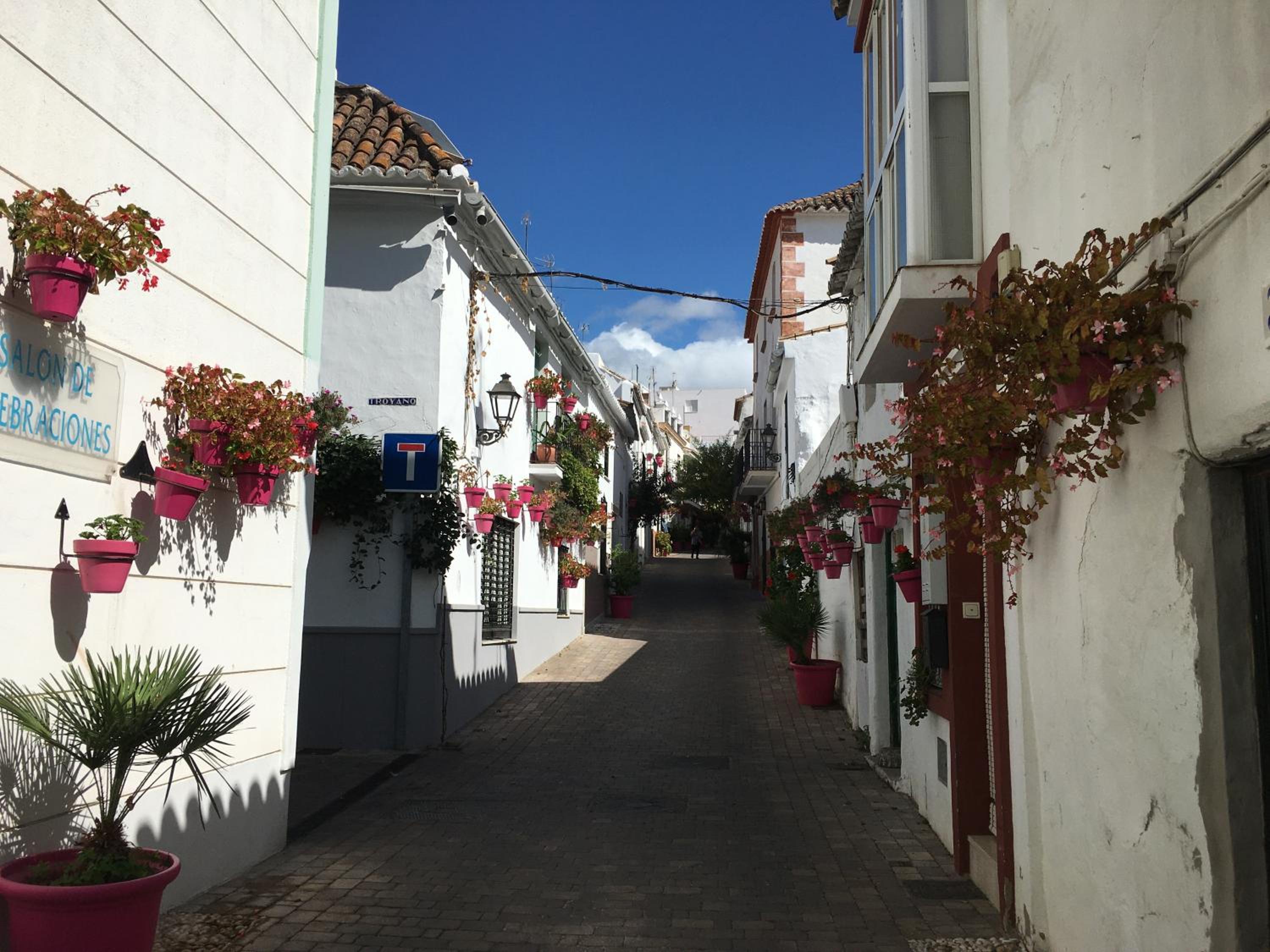 Photo 44