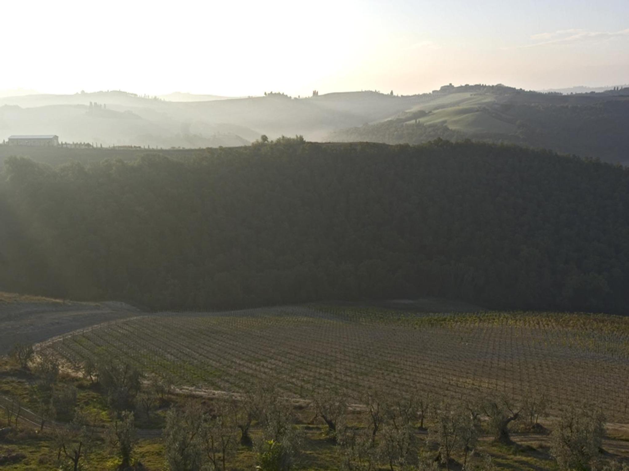 Borgo Lucignanello Bandini