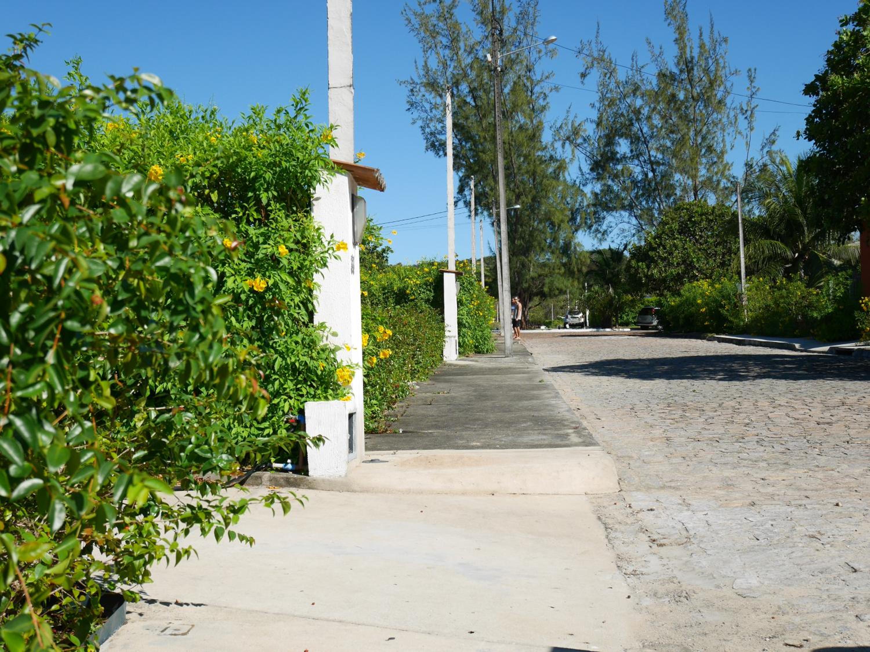 Photo 45