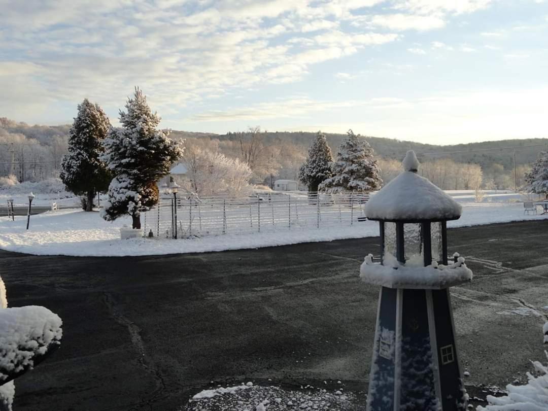 Elm Tree Motel