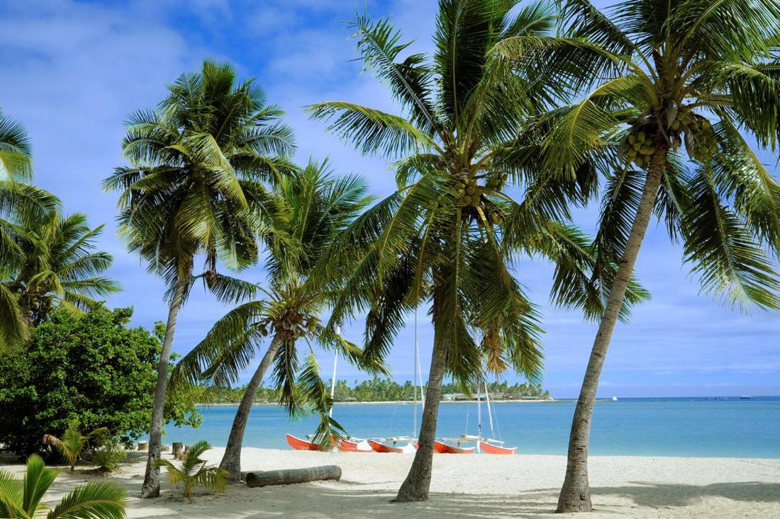 Musket Cove Island Resort & Marina 3